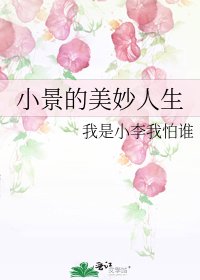 《小景的美妙人生》