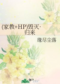 《(家教+HP)毁灭·归来》