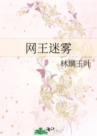 《网王迷雾》