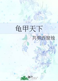 《龟甲天下》