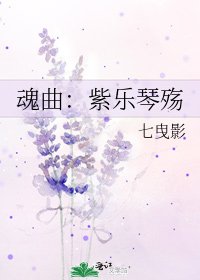《魂曲:紫乐琴殇》