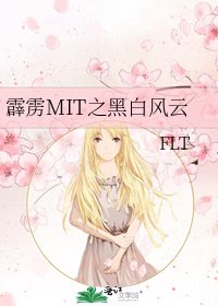 《霹雳MIT之黑白风云》