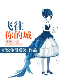 《飞往你的城》