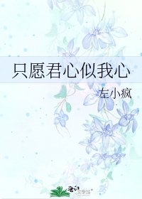 《只愿君心似我心》