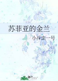 《苏菲亚的金兰》
