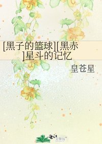 [黑子的篮球][黑赤]星斗的记忆