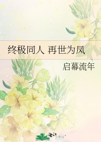 《终极同人 再世为凤》