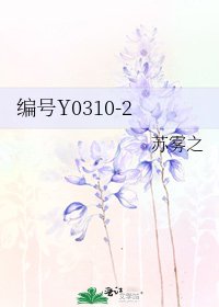 《编号Y0310-2》