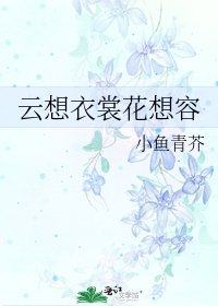 《云想衣裳花想容》