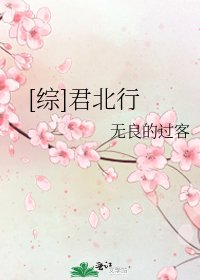 [综]君北行