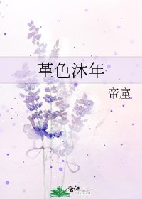 堇色沐年