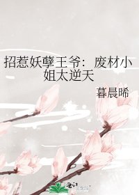 《招惹妖孽王爷:废材小姐太逆天》