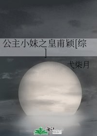 公主小妹之皇甫颖[综]