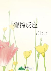 《碰撞反应》