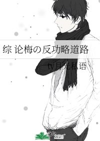 《综 论梅の反功略道路》