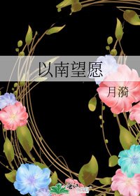 以南望愿
