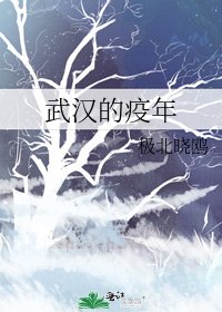 《武汉的疫年》