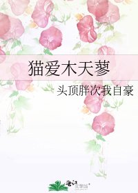 猫爱木天蓼