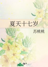 《夏天十七岁》