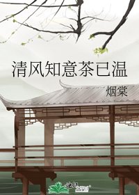 《清风知意茶已温》