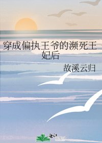 《穿成偏执王爷的濒死王妃后》
