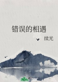 《错误的相遇》