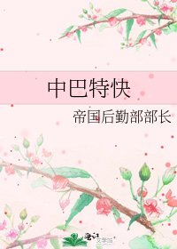 《中巴特快》