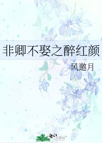 《非卿不娶之醉红颜》