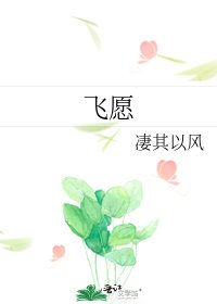《飞愿》