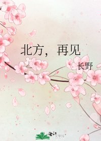 《北方,再见》