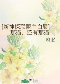 [新神探联盟主白展]那猫，还有那猫