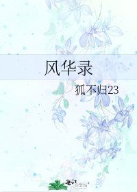 《风华录》