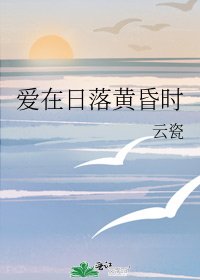 《爱在日落黄昏时》
