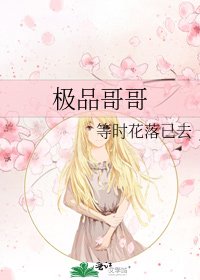 《极品哥哥》