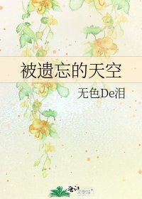 《被遗忘的天空》