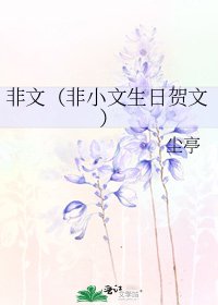 《非文(非小文生日贺文)》