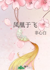 《凤凰于飞》