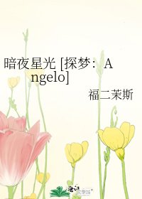 暗夜星光 [探梦：Angelo]