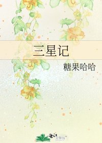 三星记