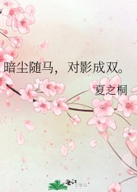 《暗尘随马,对影成双。》