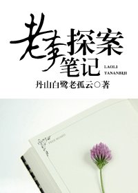 《老李探案笔记》