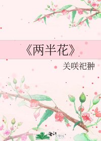 《两半花》