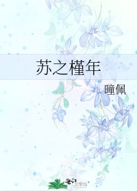 《苏之槿年》