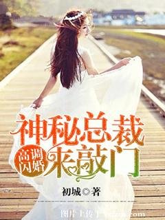 《高调闪婚,神秘总裁来敲门》