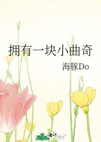 《拥有一块小曲奇》