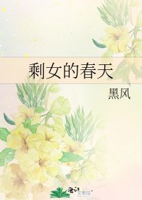 《剩女的春天》