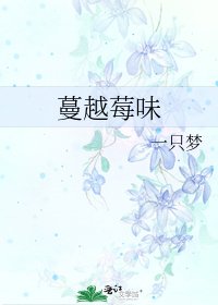 蔓越莓味