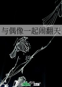 《与偶像一起闹翻天》