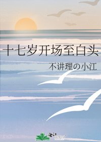 《十七岁开场至白头》