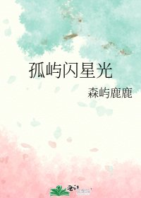 《孤屿闪星光》